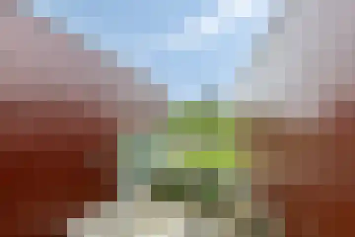 Het Roege Pad 3 Groningen thumbnail 4
