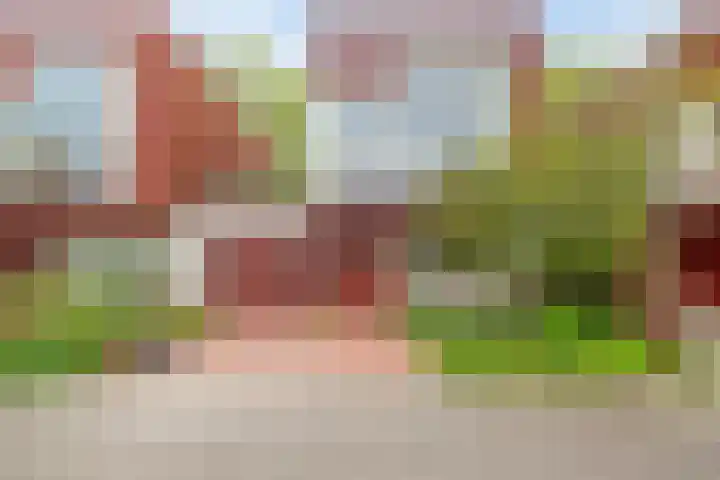 Het Roege Pad 3 Groningen thumbnail 6