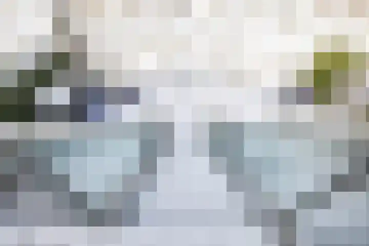 Het Roege Pad 5 Groningen thumbnail 47