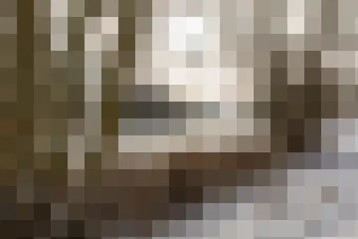 Het Roege Pad 5 Groningen thumbnail 54