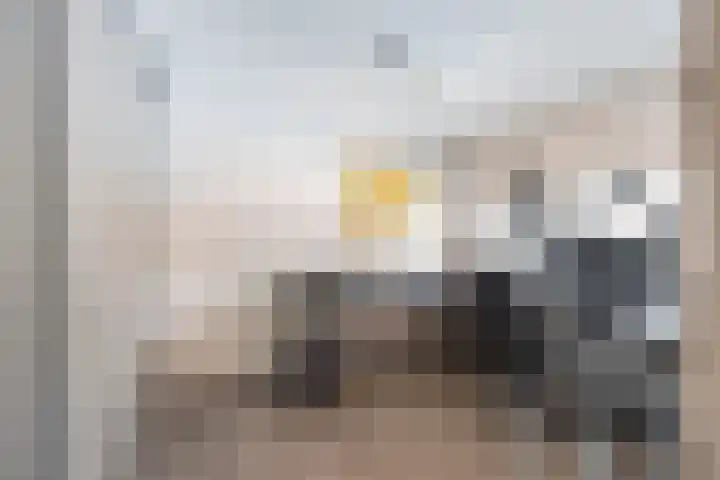 Het Roege Pad 5 Groningen thumbnail 9