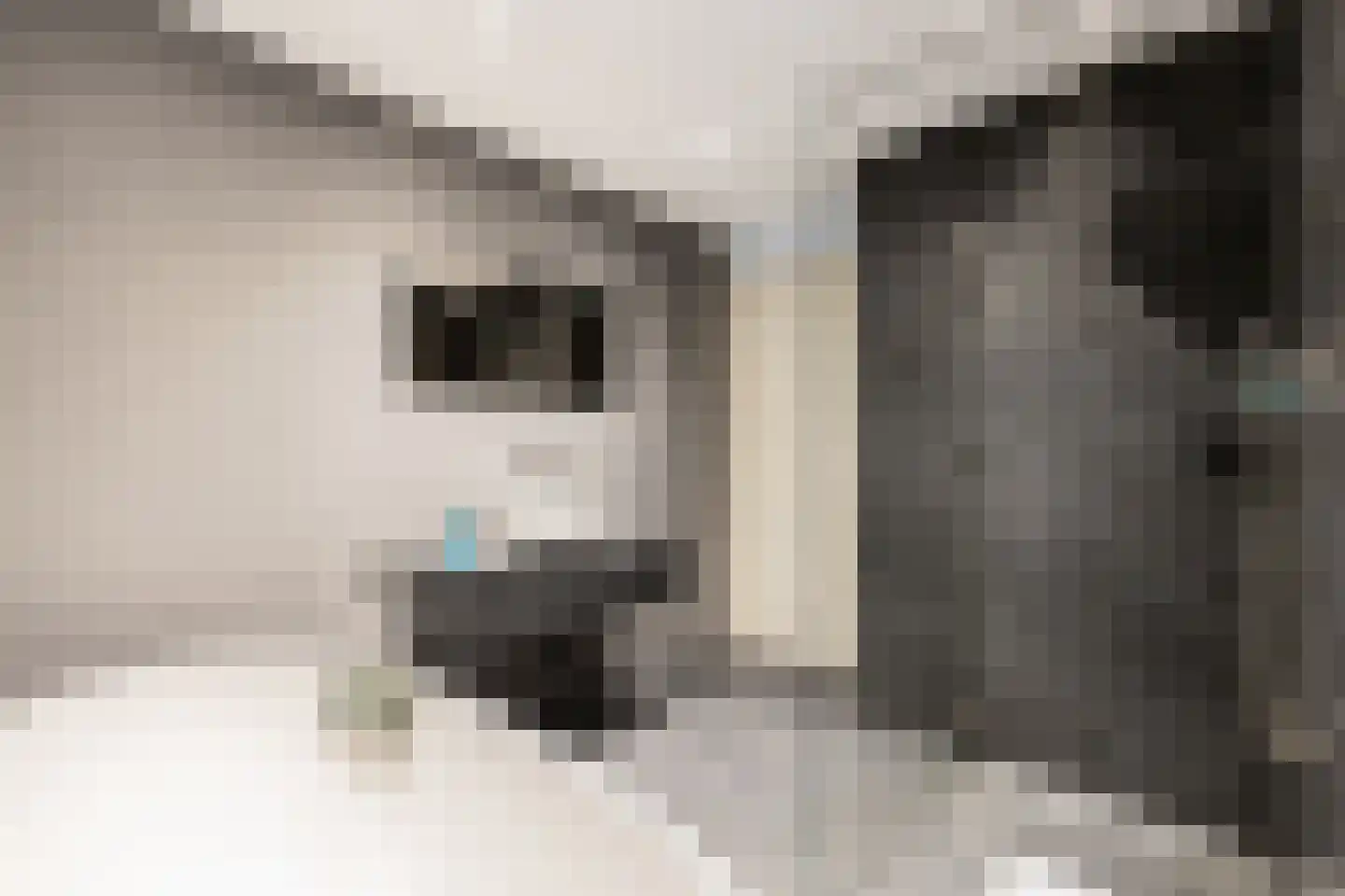 Het Roege Pad 6 Groningen thumbnail 15
