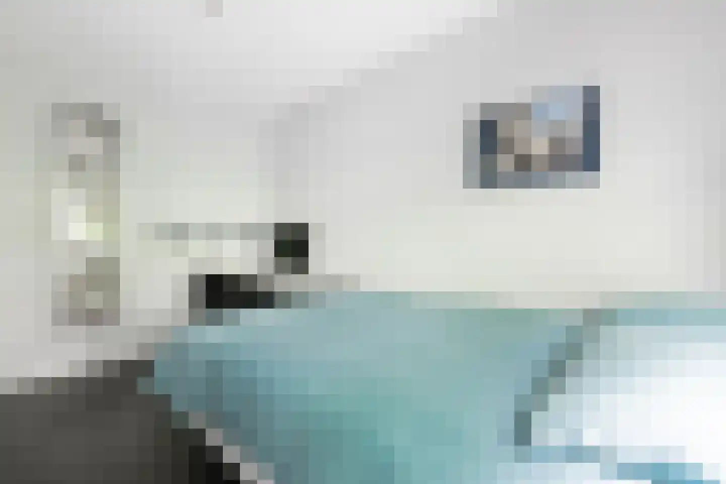 Het Roege Pad 6 Groningen thumbnail 21