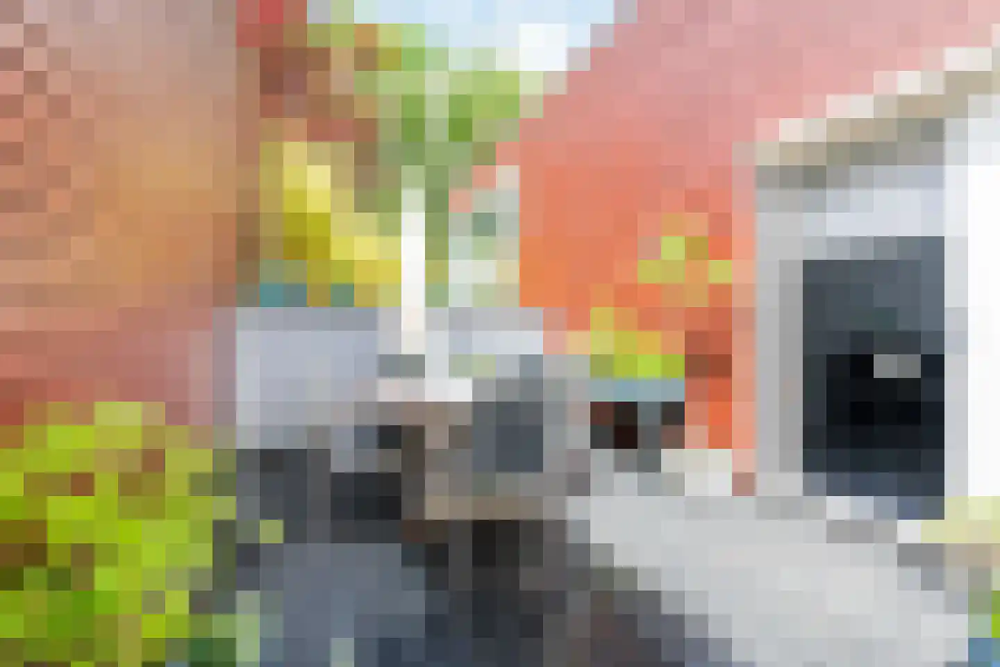 Het Roege Pad 6 Groningen thumbnail 34