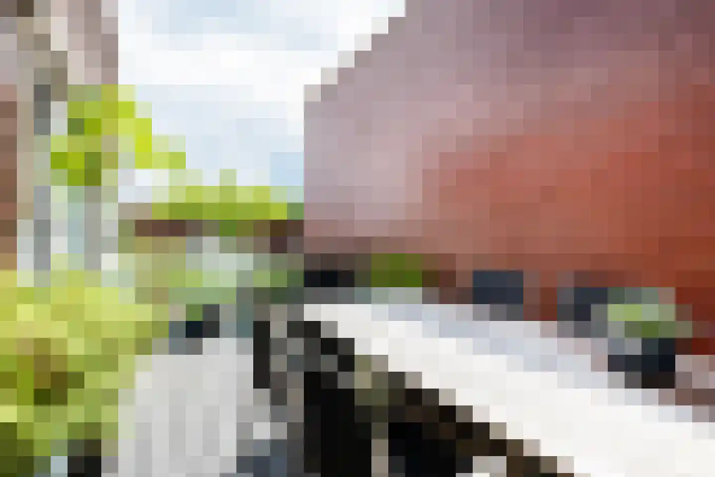 Het Roege Pad 6 Groningen thumbnail 37