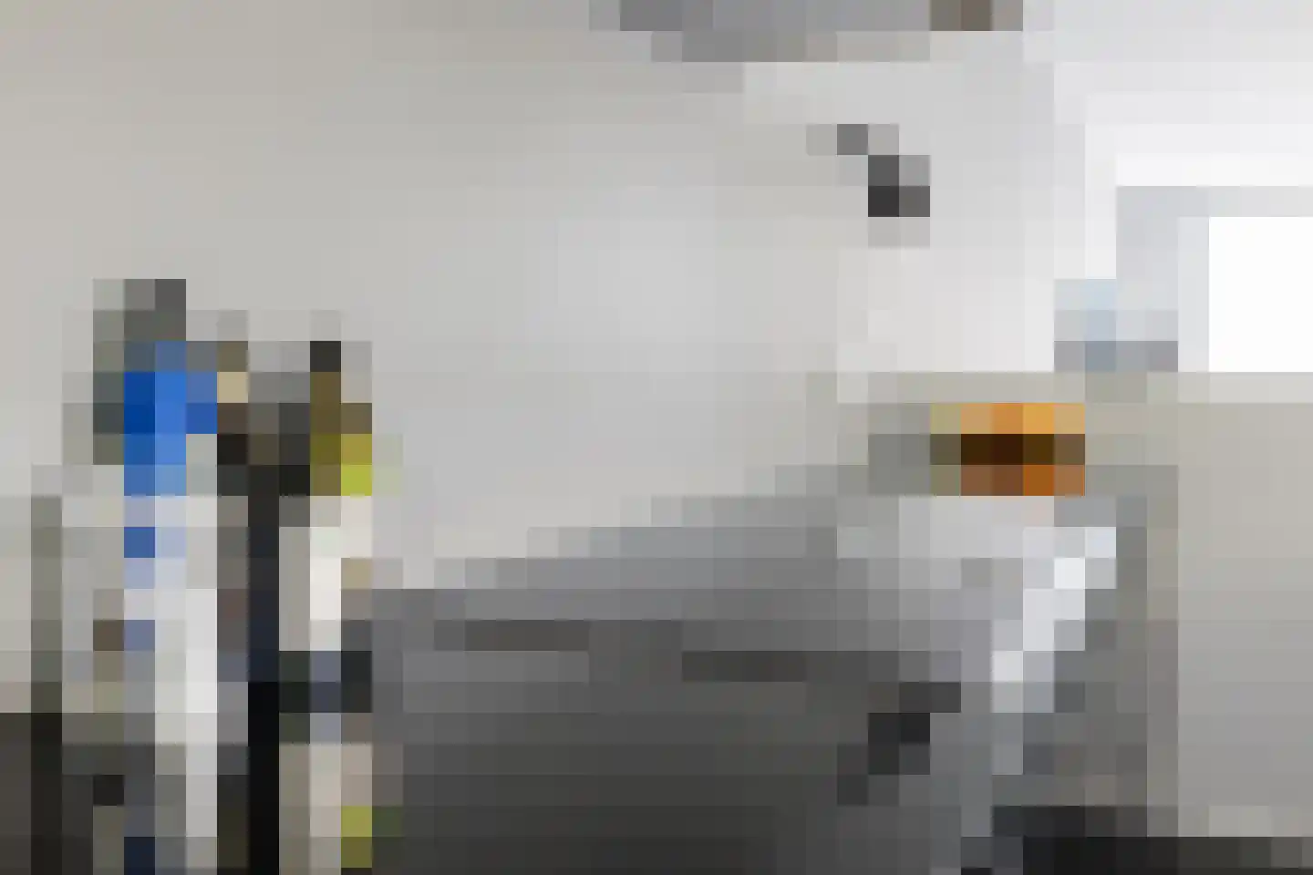 Het Roege Pad 6 Groningen thumbnail 42