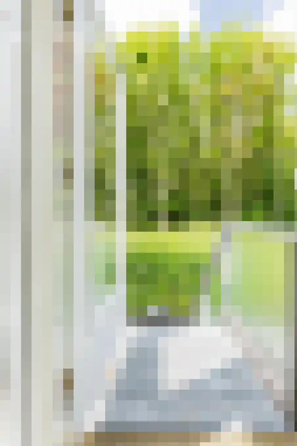 Het Roege Pad 6 Groningen thumbnail 43