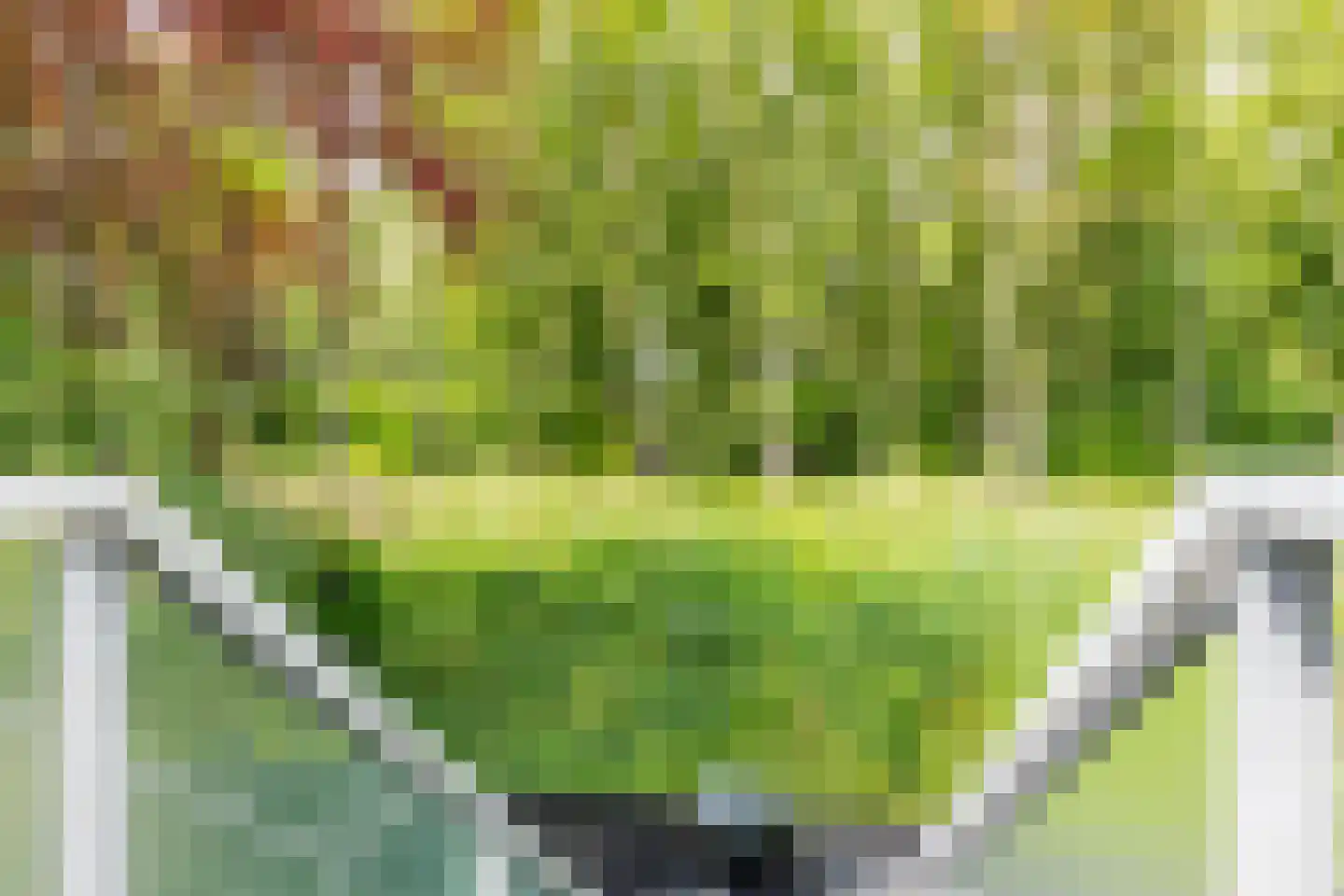 Het Roege Pad 6 Groningen thumbnail 44