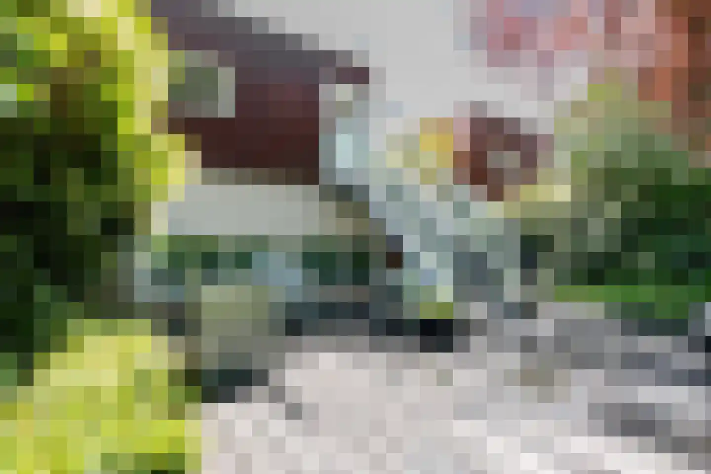 Het Roege Pad 6 Groningen thumbnail 45