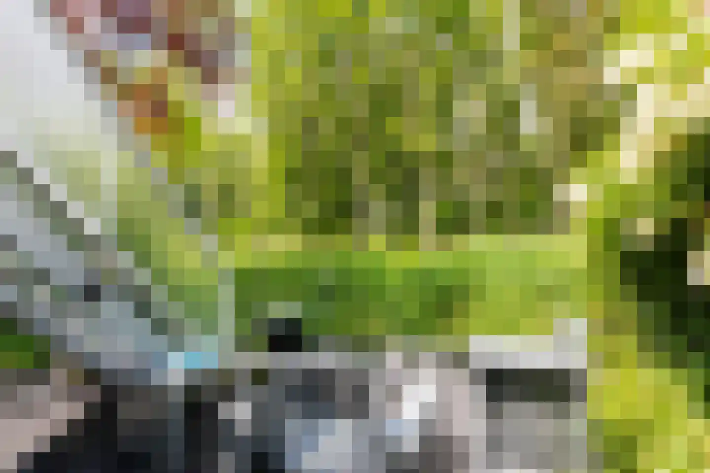 Het Roege Pad 6 Groningen thumbnail 46