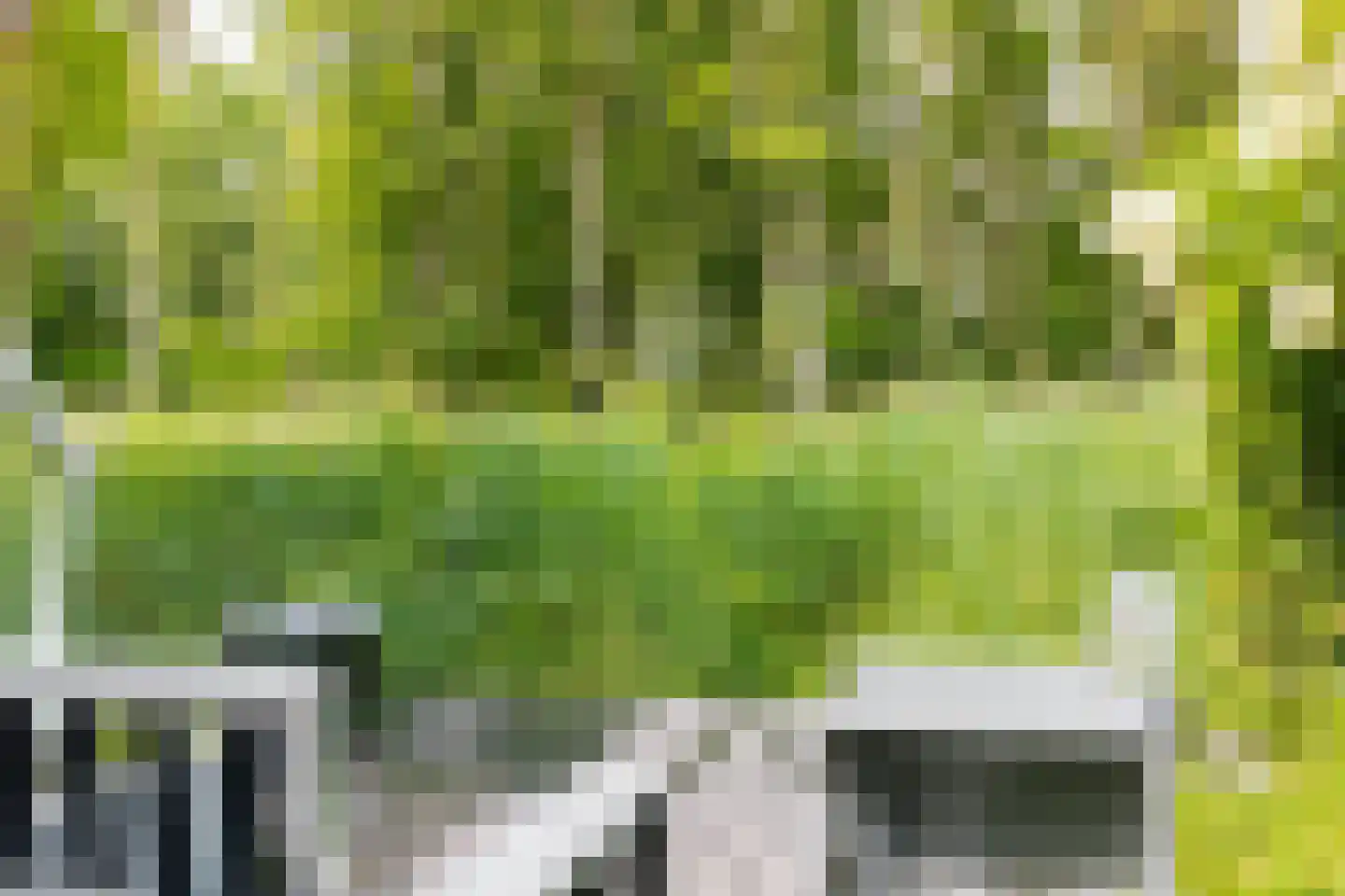 Het Roege Pad 6 Groningen thumbnail 47