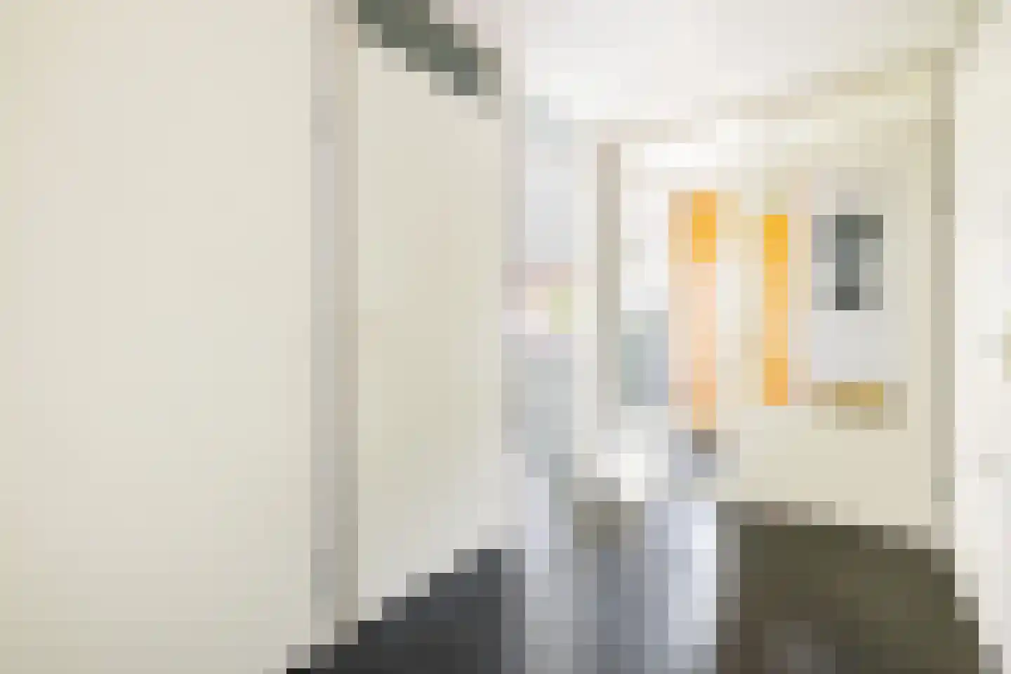 Het Roege Pad 6 Groningen thumbnail 9