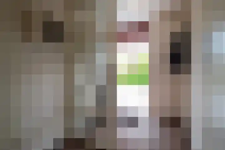 Het Roege Pad 9 Groningen thumbnail 11