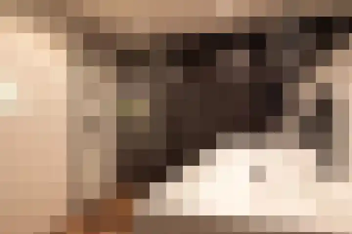 Het Roege Pad 9 Groningen thumbnail 13