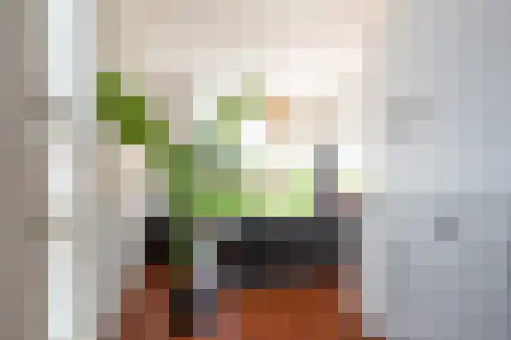 Het Roege Pad 9 Groningen thumbnail 27
