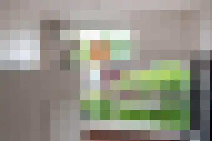 Het Roege Pad 9 Groningen thumbnail 33