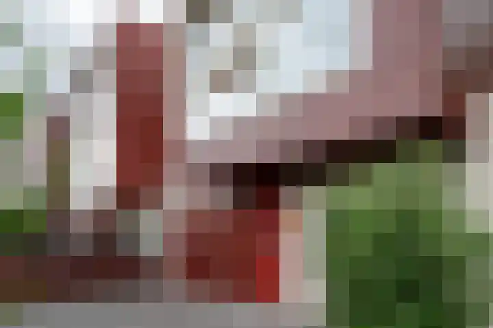 Het Roege Pad 9 Groningen thumbnail 34