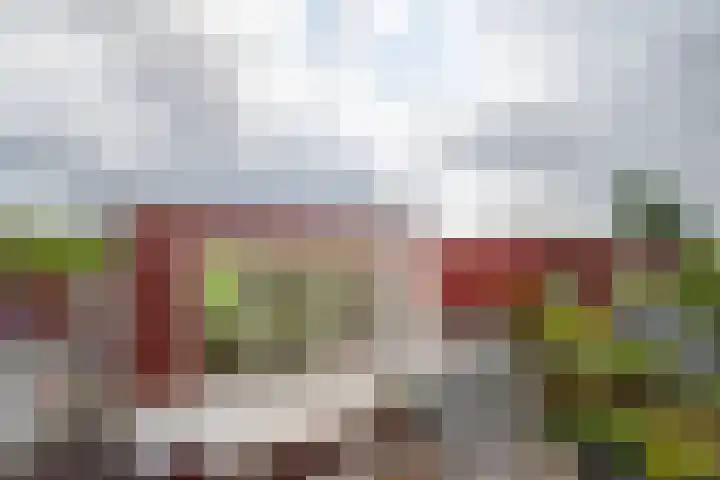 Het Roege Pad 9 Groningen thumbnail 38