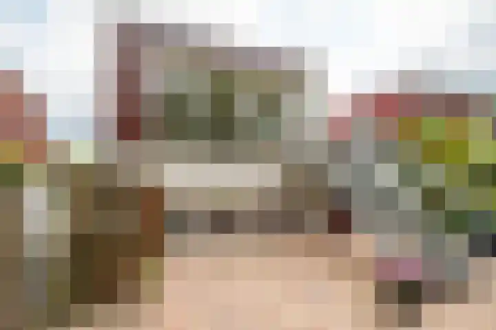 Het Roege Pad 9 Groningen thumbnail 39