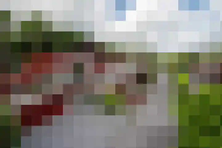 Het Roege Pad 9 Groningen thumbnail 4