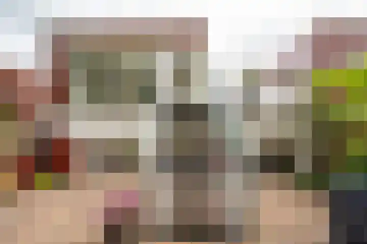 Het Roege Pad 9 Groningen thumbnail 40
