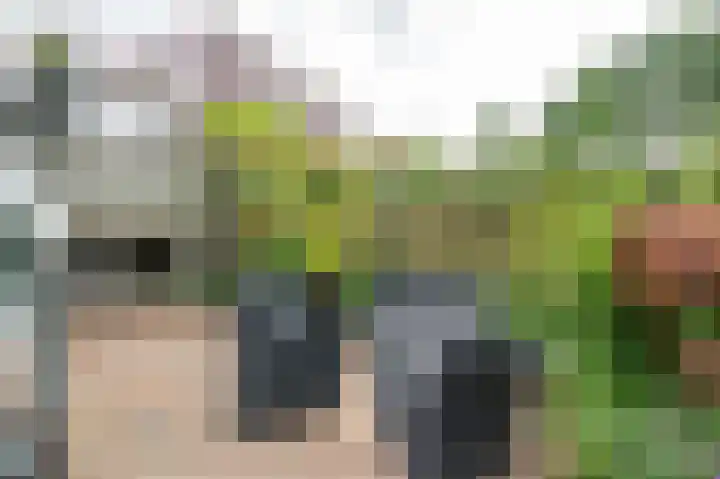 Het Roege Pad 9 Groningen thumbnail 41