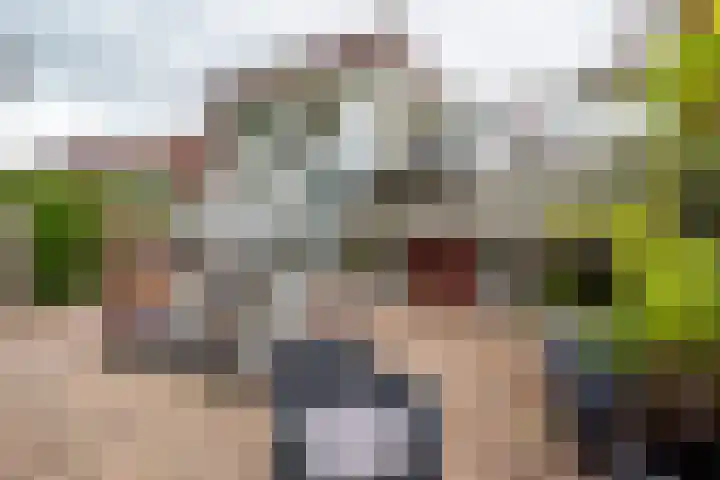 Het Roege Pad 9 Groningen thumbnail 42