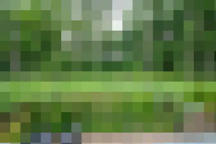 Het Roege Pad 9 Groningen thumbnail 43
