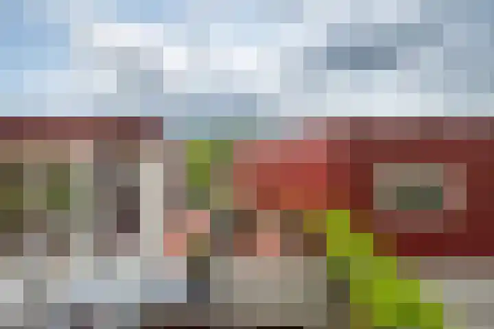Het Roege Pad 9 Groningen thumbnail 44