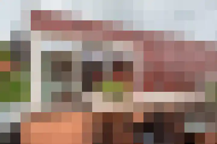Het Roege Pad 9 Groningen thumbnail 45