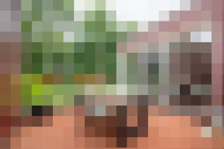 Het Roege Pad 9 Groningen thumbnail 46