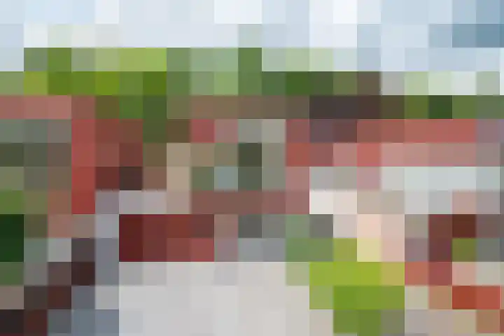 Het Roege Pad 9 Groningen thumbnail 5