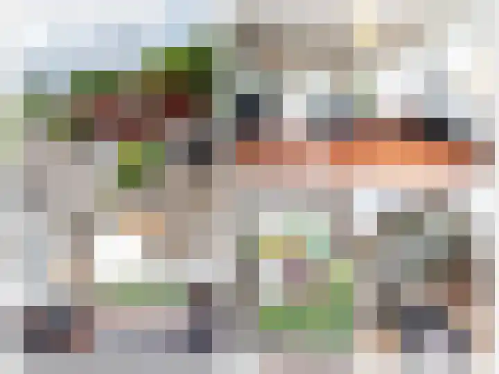 Het Roege Pad 9 Groningen thumbnail 50
