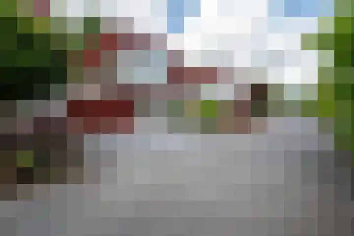 Het Roege Pad 9 Groningen thumbnail 6