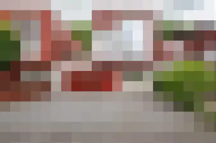 Het Roege Pad 9 Groningen thumbnail 7
