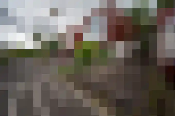 Het Roege Pad 9 Groningen thumbnail 8