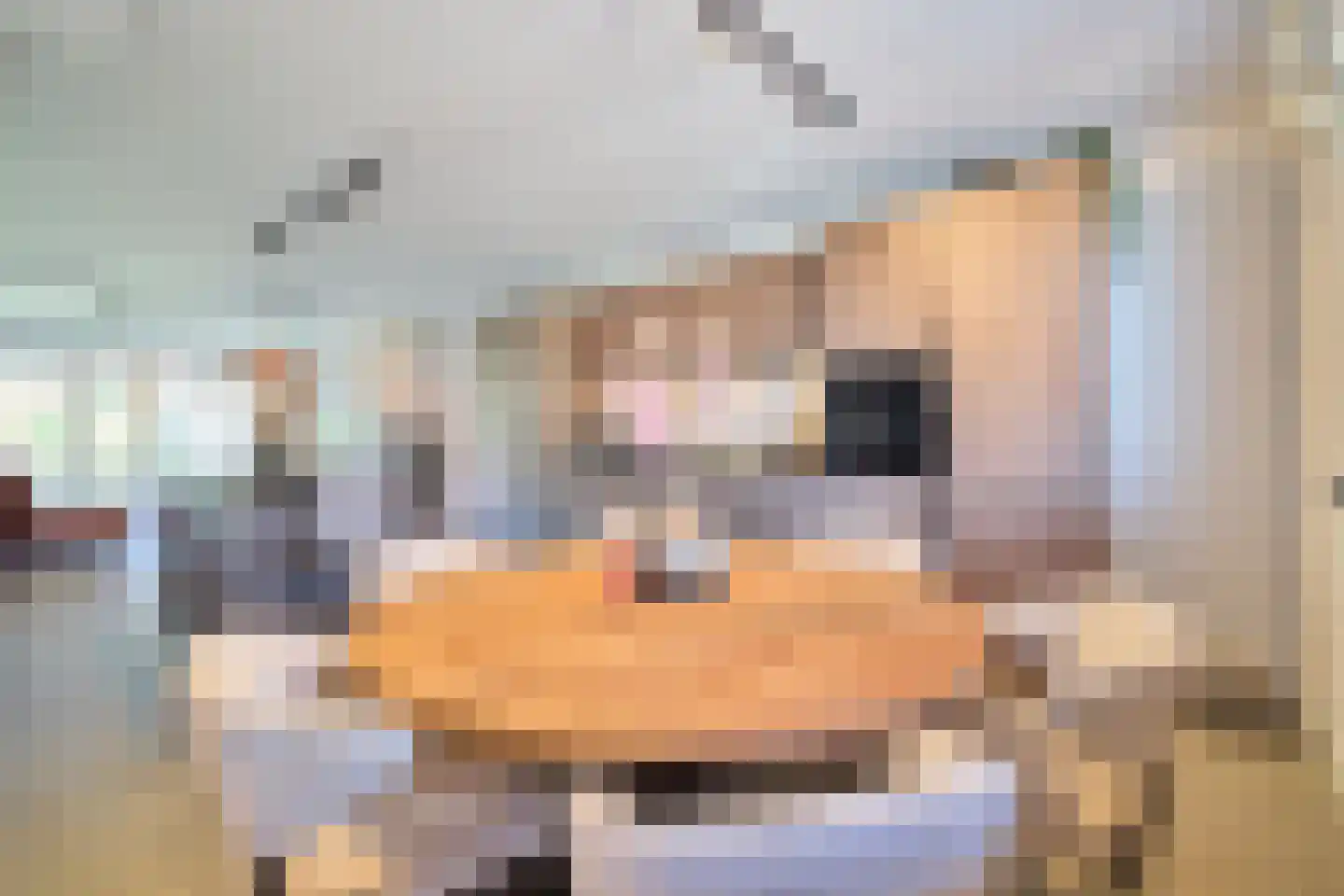 Het Roer 19 Bunschoten-Spakenburg thumbnail 12