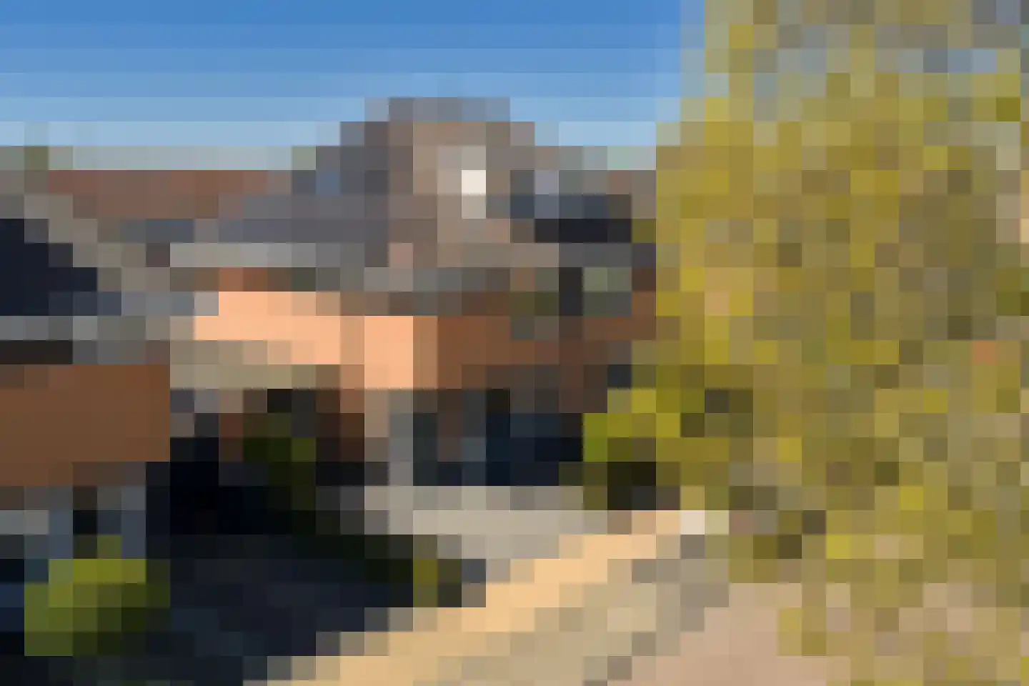Het Roer 19 Bunschoten-Spakenburg thumbnail 47