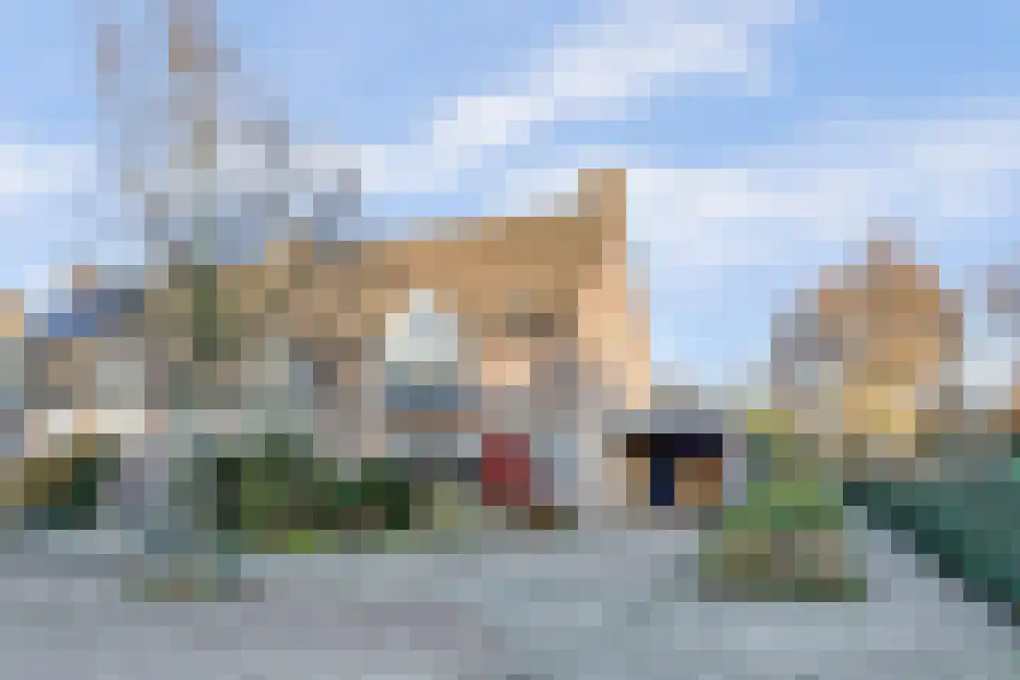 Het Ronsel 30 Bergeijk