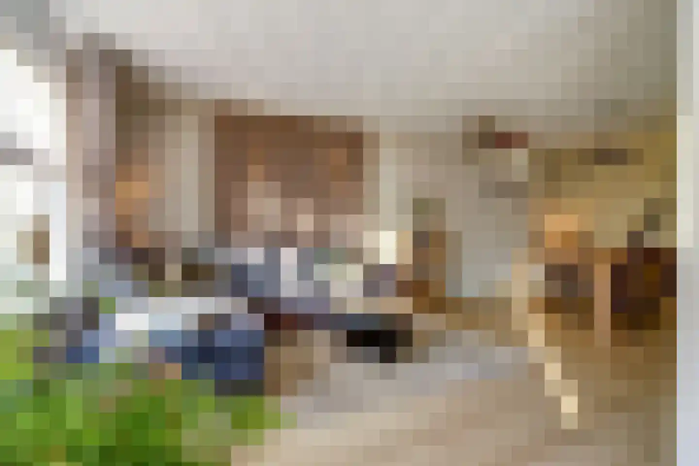 Het Ronsel 30 Bergeijk thumbnail 10