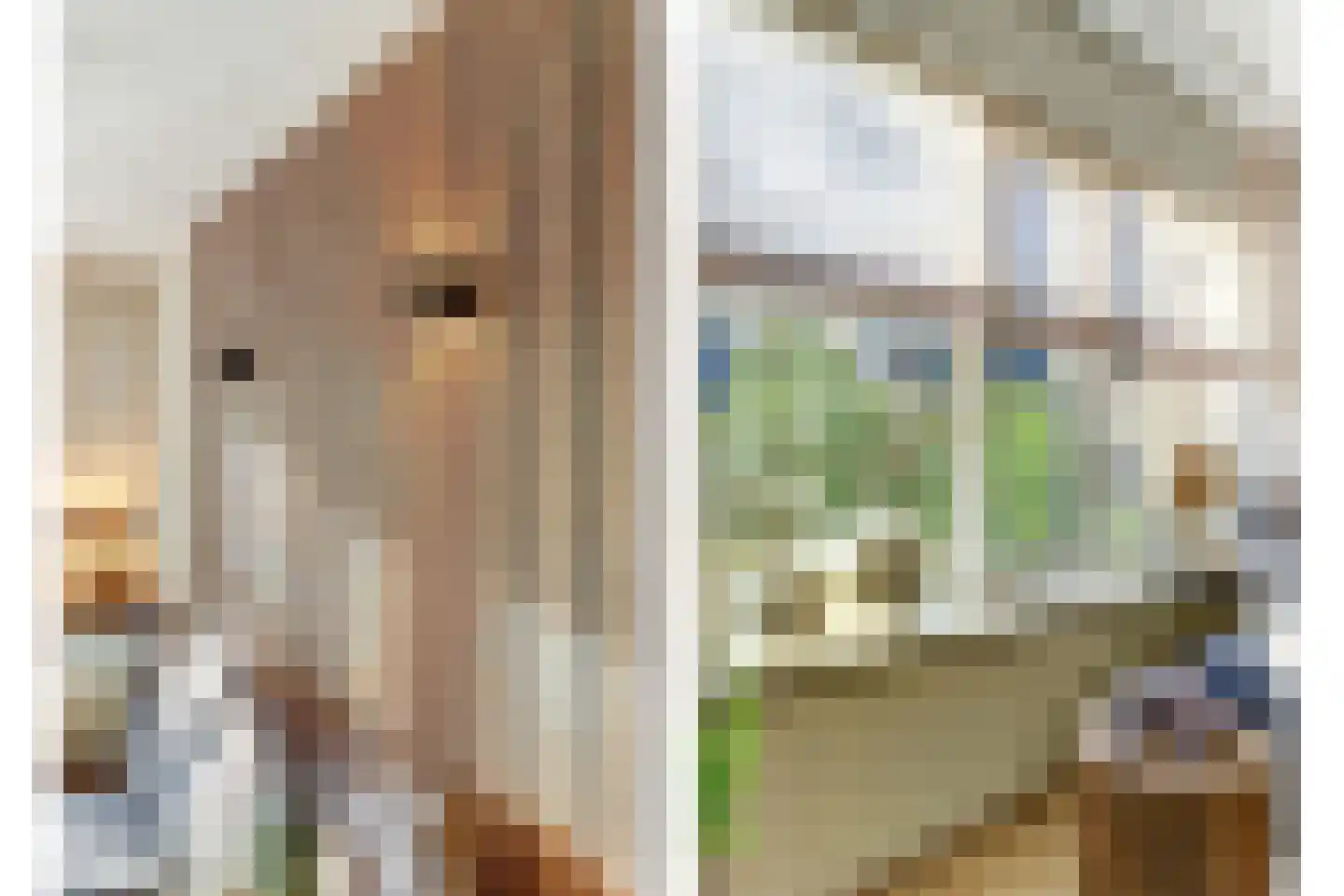 Het Ronsel 30 Bergeijk thumbnail 12