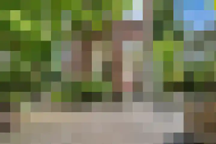 Het Ronsel 30 Bergeijk thumbnail 20