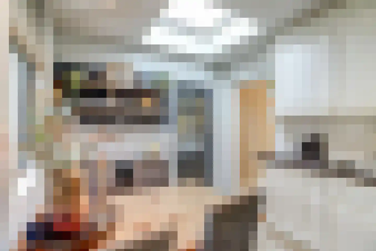 Het Ronsel 30 Bergeijk thumbnail 25