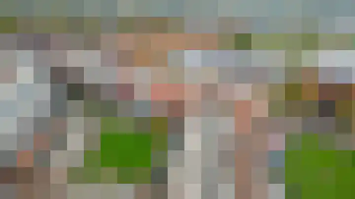 Het Ronsel 30 Bergeijk thumbnail 28