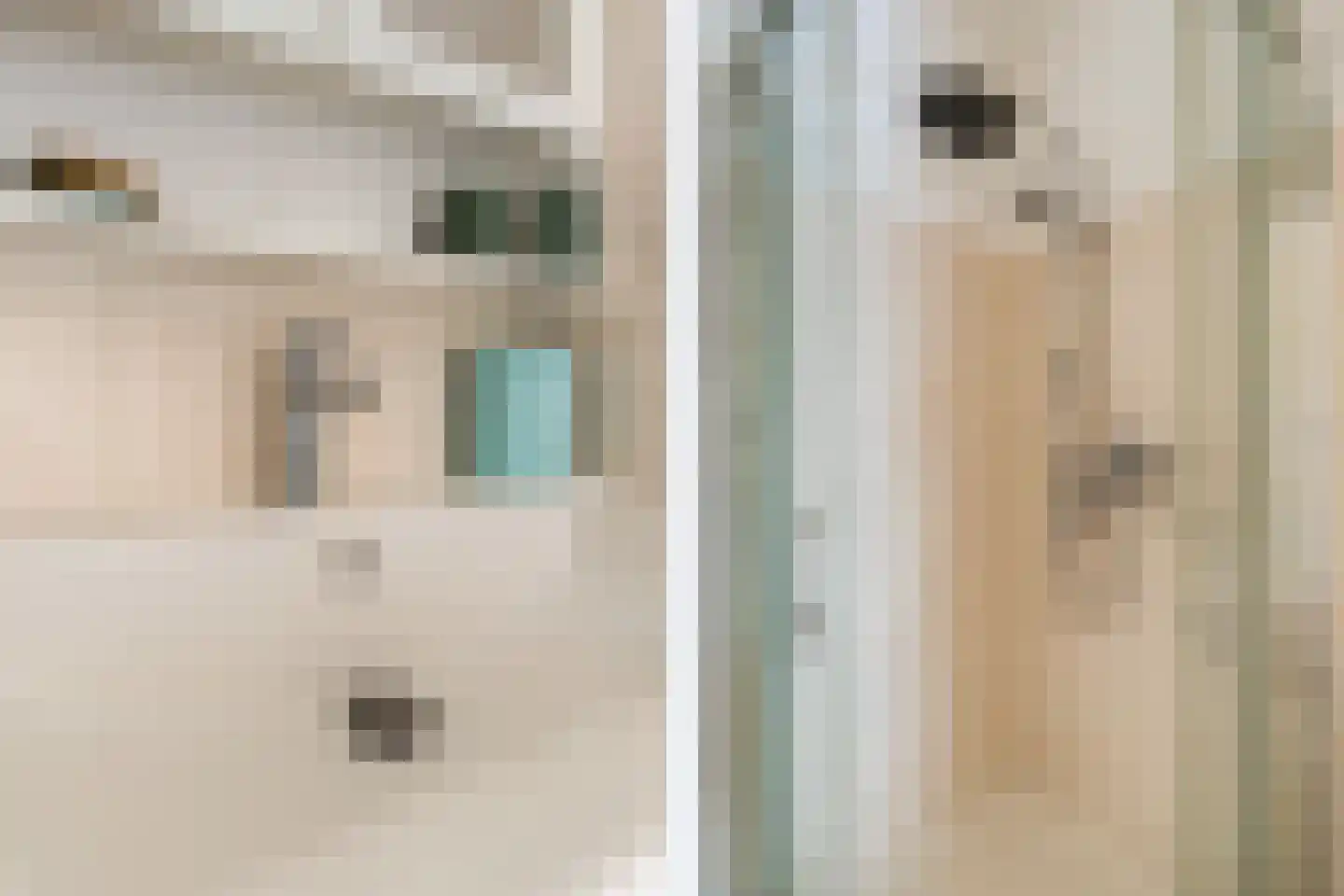 Het Ronsel 30 Bergeijk thumbnail 31