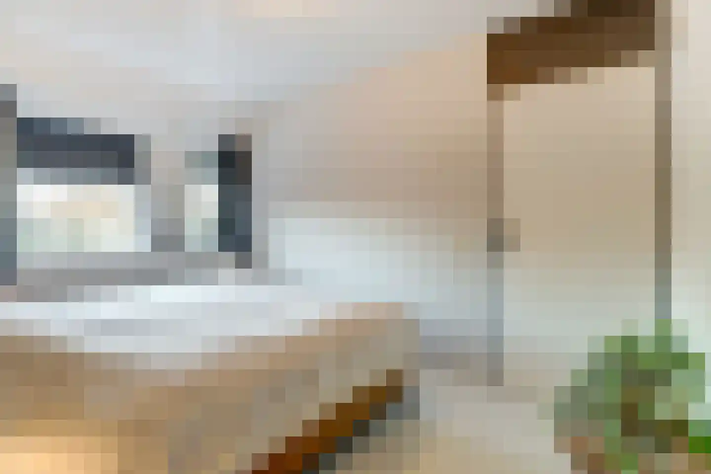 Het Ronsel 30 Bergeijk thumbnail 31