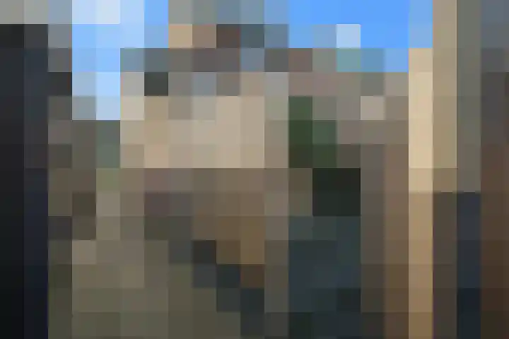Het Ronsel 30 Bergeijk thumbnail 32