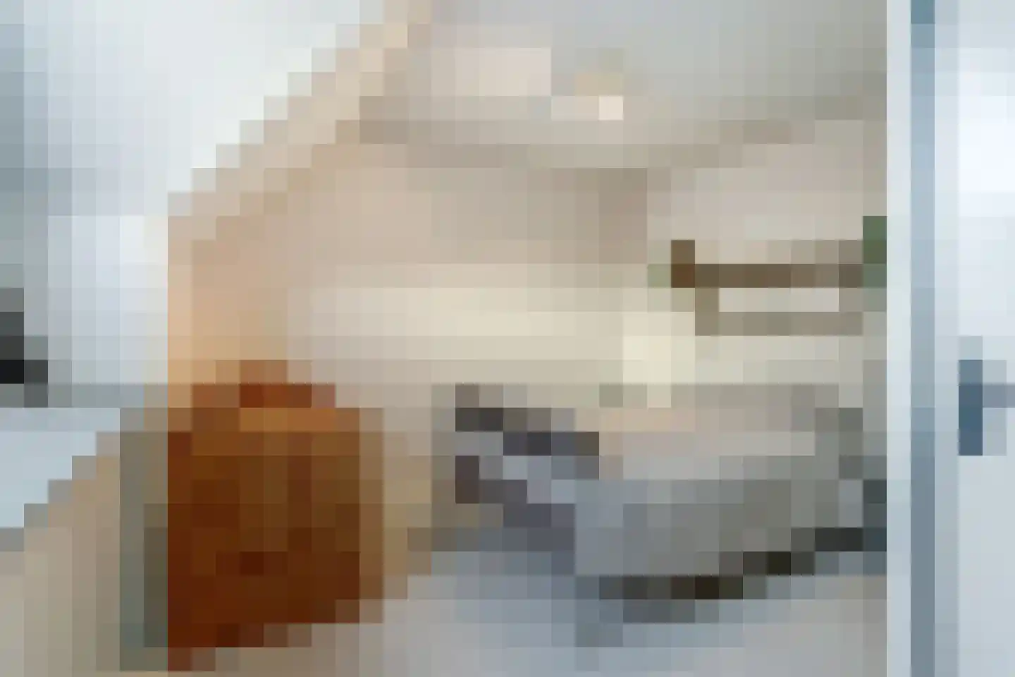Het Ronsel 30 Bergeijk thumbnail 34