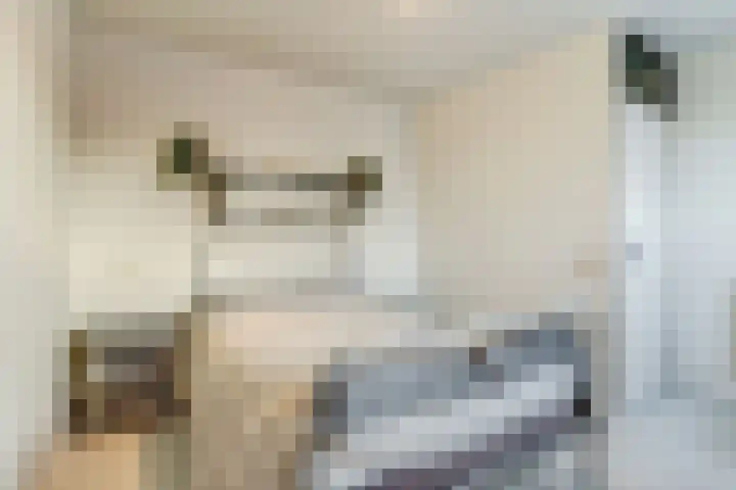 Het Ronsel 30 Bergeijk thumbnail 35