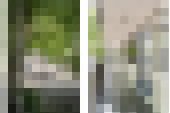 Het Ronsel 30 Bergeijk thumbnail 39